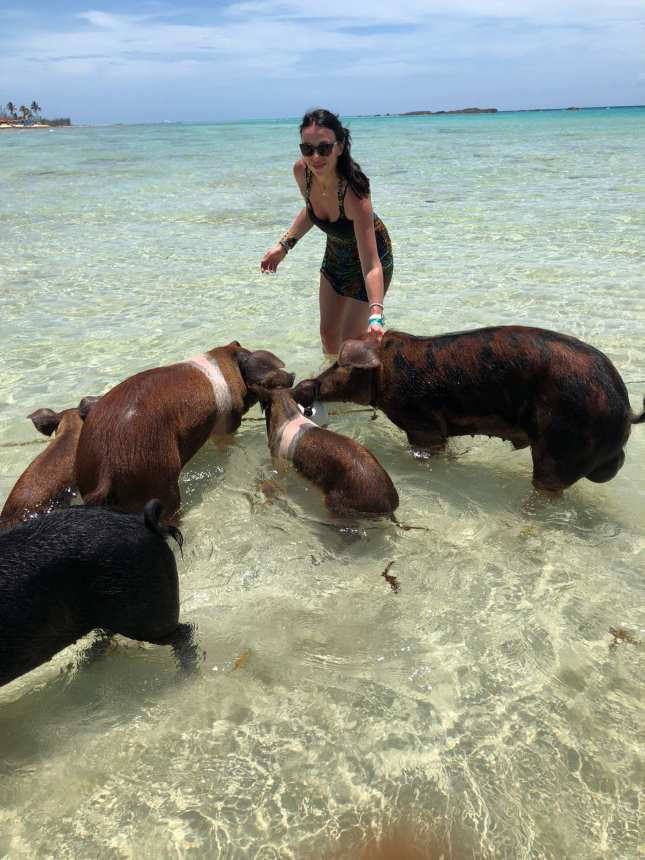 Swim with the pigs in Freeport, Bahamas